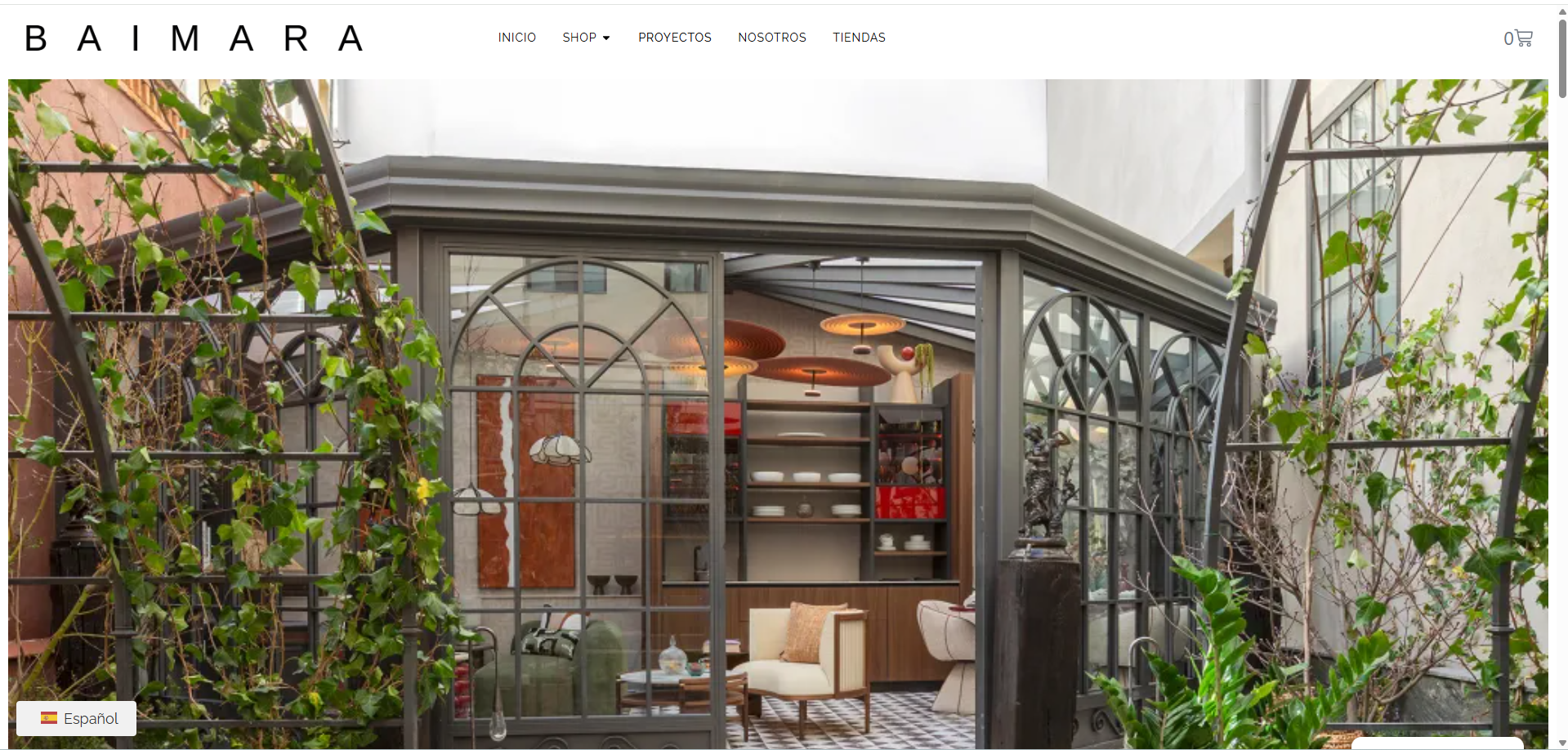 Captura del proyecto Mantenimiento y diseño Web Baimara